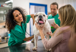 Orbital Shift Veterinarian Time Clock